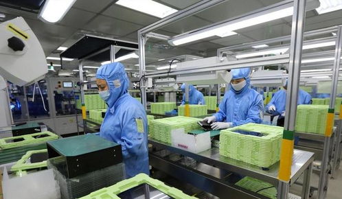 東莞封裝廠斷供，荷蘭急求合作解禁